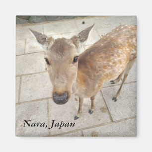Aimant de photo de souvenir de Nara Japon