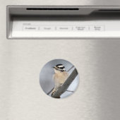 Aimant de pic (In Situ (Lave-vaisselle))