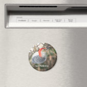 Aimant de pic à ventre rouge (In Situ (Lave-vaisselle))