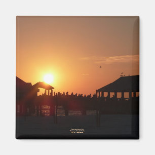 Aimant de pilier de plage de Clearwater