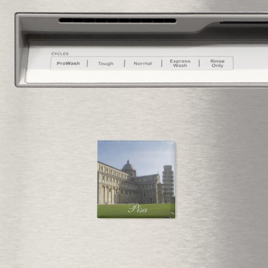 Aimant de Pise (In Situ (Lave-vaisselle))