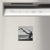 aimant de plage de bois flotté (In Situ (Lave-vaisselle))