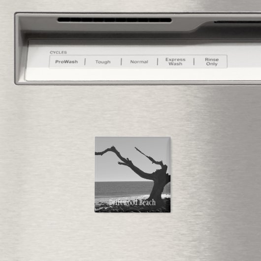 aimant de plage de bois flotté (In Situ (Lave-vaisselle))