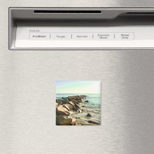 Aimant de plage de Rhode Island (In Situ (Lave-vaisselle))