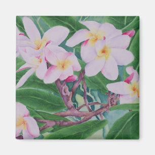 Aimant de Plumeria