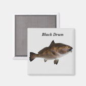 Aimant de poisson à tambour noir (Recto/Verso)
