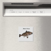 Aimant de poisson à tambour noir (In Situ (Lave-vaisselle))