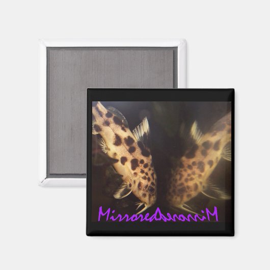 Aimant de poisson catamaran (mis en miroir) (Recto/Verso)