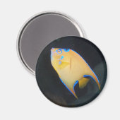 Aimant de poisson jaune (Recto/Verso)