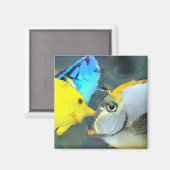 Aimant de poisson tropical (Recto/Verso)