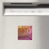 Aimant de pollen rose (In Situ (Lave-vaisselle))