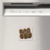 Aimant de pommes de pin simples (In Situ (Lave-vaisselle))