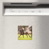 Aimant de poney de polo (In Situ (Lave-vaisselle))