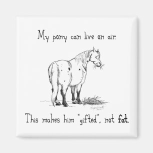 Aimant de poney gras