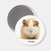 Aimant de porc de Guinée (Recto/Verso)