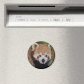 Aimant de portrait de Panda (In Situ (Lave-vaisselle))