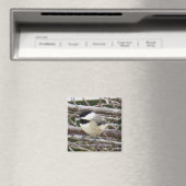 Aimant de poulet (In Situ (Lave-vaisselle))