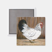 Aimant de poulet blanc (Recto/Verso)