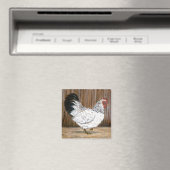 Aimant de poulet blanc (In Situ (Lave-vaisselle))