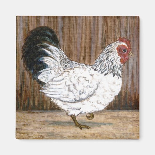 Aimant de poulet blanc (Devant)
