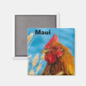 Aimant de poulet Maui (Recto/Verso)