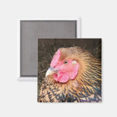 Aimant de poulet no 2 Golden Laced Wyandotte (Recto/Verso)