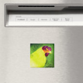 Aimant de poulet - "Poulet de printemps" (In Situ (Lave-vaisselle))