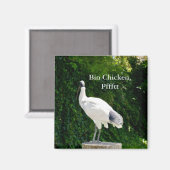 Aimant De Poulets De Corne (Ibis) (Recto/Verso)