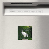 Aimant De Poulets De Corne (Ibis) (In Situ (Lave-vaisselle))