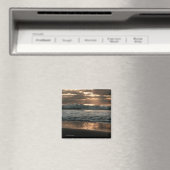 Aimant de projection (In Situ (Lave-vaisselle))