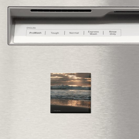 Aimant de projection (In Situ (Lave-vaisselle))