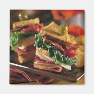 Aimant de question de sandwich