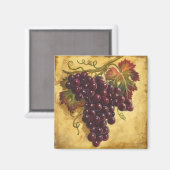 Aimant de raisin (Recto/Verso)