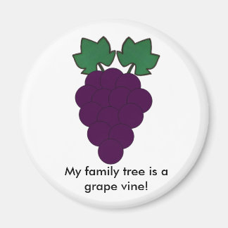 Aimant de raisin