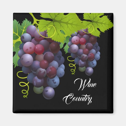 Aimant de raisins (Devant)