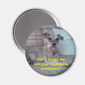 Aimant de rappel de ver de coeur (Recto/Verso)