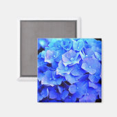 Aimant de réfrigérateur Blue Hydrangeas (Recto/Verso)