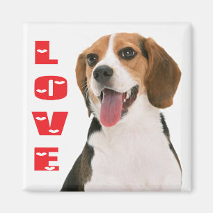 Aimant de réfrigérateur Chien Beagle Puppy Amour