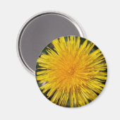 Aimant de réfrigérateur Dandelion (Recto/Verso)