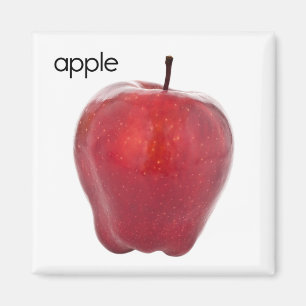Aimant de réfrigérateur d'Apple