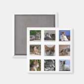 Aimant de réfrigérateur de chat (Recto/Verso)