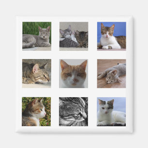 Aimant de réfrigérateur de chat