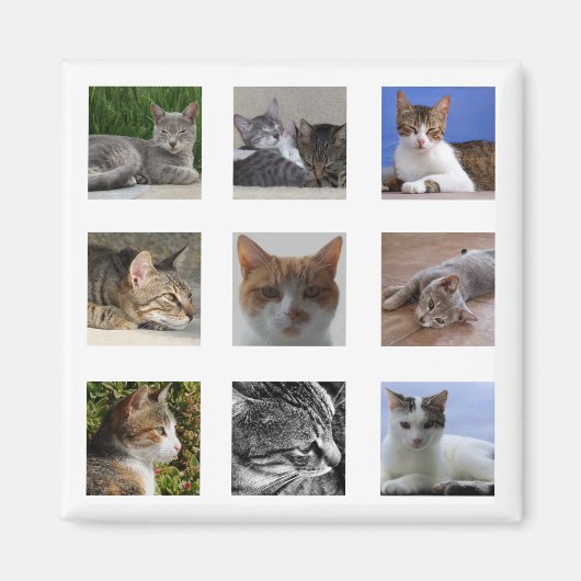 Aimant de réfrigérateur de chat (Devant)