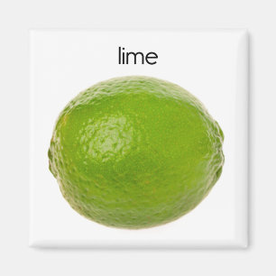 Aimant de réfrigérateur de chaux