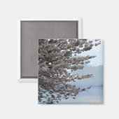 Aimant de réfrigérateur de fleur d'arbre (Recto/Verso)