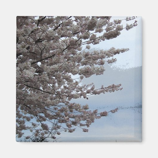 Aimant de réfrigérateur de fleur d'arbre (Devant)