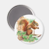 Aimant de réfrigérateur de la nature d'écureuil (Recto/Verso)
