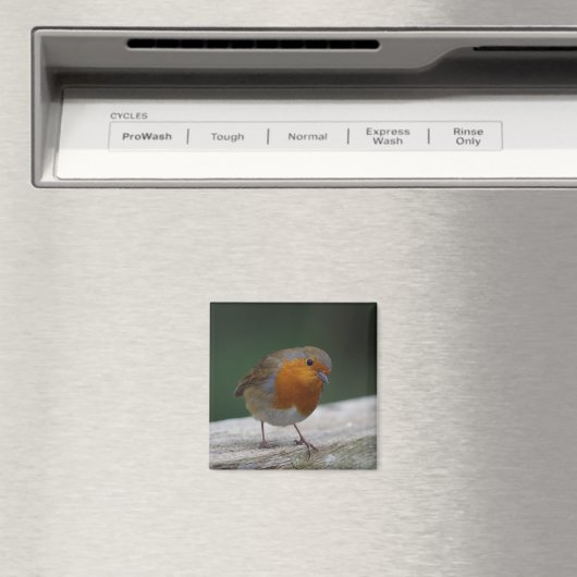 Aimant de réfrigérateur de Robin (In Situ (Lave-vaisselle))