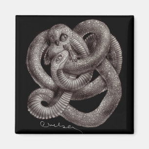 Aimant de réfrigérateur de "Snowl" Eco