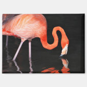 Aimant de réfrigérateur Flamant rose (Recto)